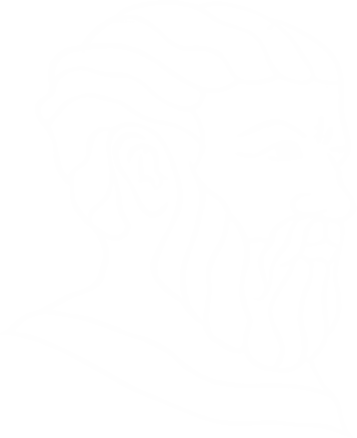 Plato Head White